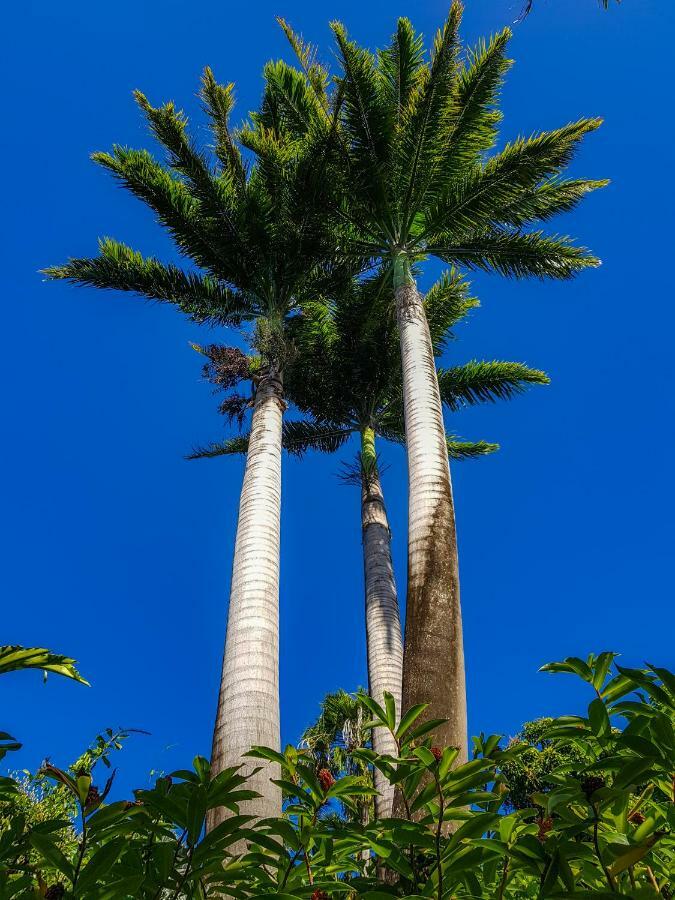 Blue Paradise Le Gosier  Kültér fotó