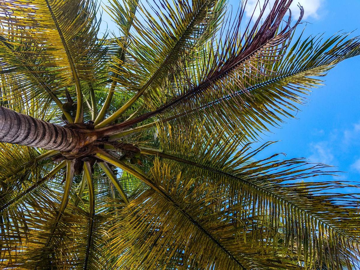 Blue Paradise Le Gosier  Kültér fotó